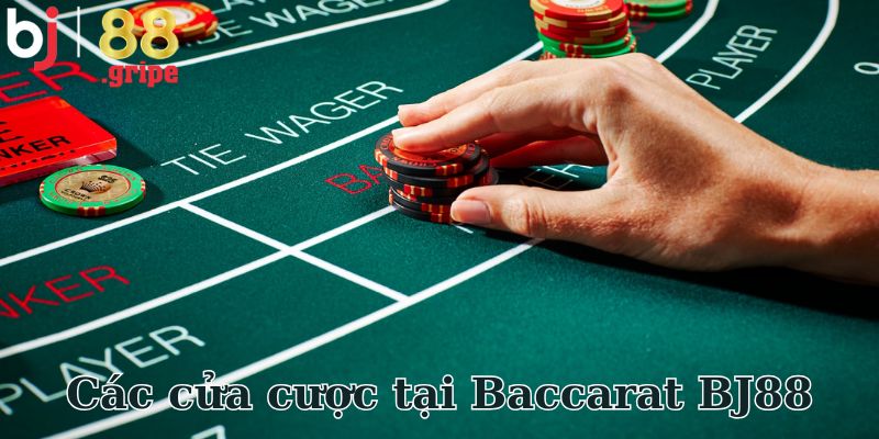 Baccarat BJ88: Đánh bài trực tuyến vừa giải trí vừa hốt bạc 4 Các cửa cược tại Baccarat BJ88